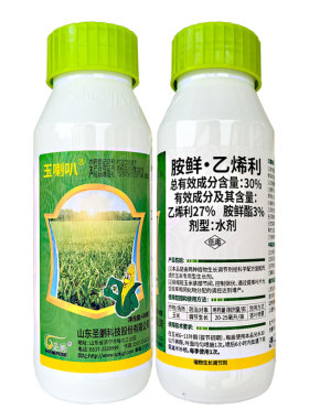 圣鹏30%胺鲜乙烯利玉米控旺专用