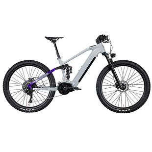 永久锂电池中置电机电助力山地车油碟力矩10速变速越野电动自行车