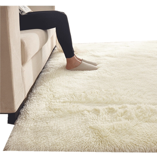 北欧地毯卧室客厅家用满铺可爱房间床边毯茶几沙发榻榻米新款地垫