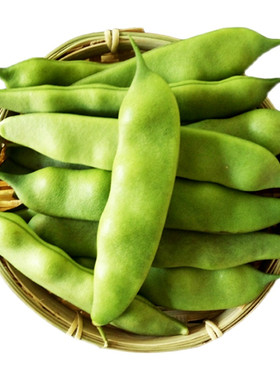 东北油豆角九月青豆角新鲜蔬菜应季现摘发5斤农家开锅烂大宽扁豆