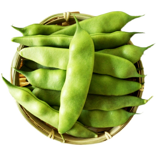 东北油豆角九月青豆角新鲜蔬菜应季现摘发5斤农家开锅烂大宽扁豆