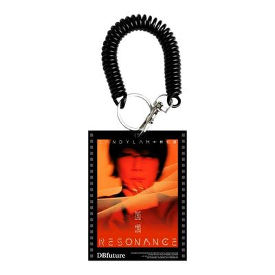 林忆莲演唱会应援光影胶片挂件