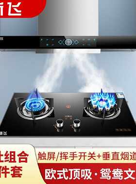 【新飞】欧式顶吸油烟机燃气灶套装抽油烟机煤气灶具烟灶组合两件