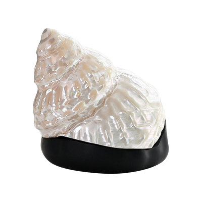 宣品书房原生螺盖搭配宣砚石砚台