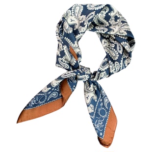 丝巾女2025新款系脖高级感围巾小方巾搭配衬衫领巾秋冬季护颈配饰