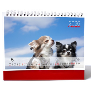 2026年可爱宠物狗狗摄影台历挂历大字带黄历手写格子记事