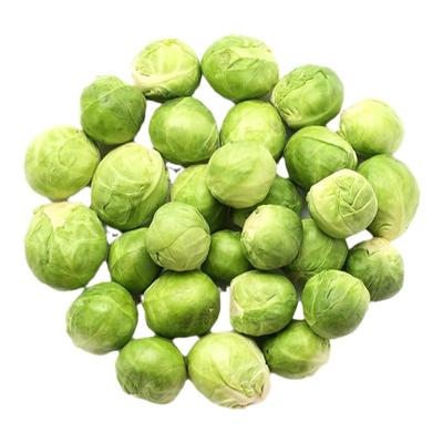 孢子甘蓝种子菜种籽抱子甘蓝秧苗盆栽南方蔬菜苗植物种孑四季种植