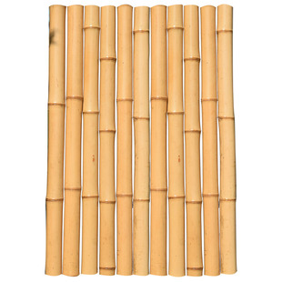 碳化竹子装饰防腐竹竿吊顶隔断挡墙室内外毛竹楠竹杆搭架