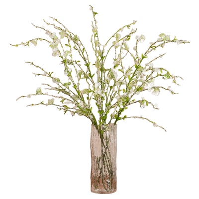 鲜枝雪柳带花苞干支水养水培花卉绿植物室内插花龙柳鲜支枯木逢春