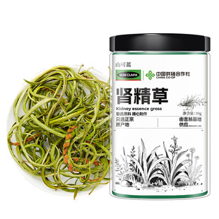 肾精草黄金野外生肾精茶养生茶官方嗷嗷叫正品长白山基地直供