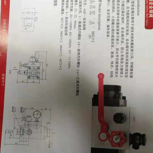 议价AQF安全阀 AQF-L40-H1-A/M27*2 蓄能器安全阀AQF-L40-H1-A/M4