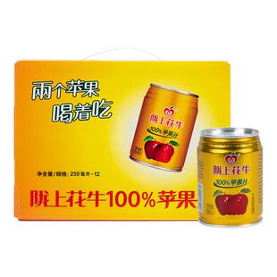 陇上花牛100%苹果汁250ml*12罐/箱纯果蔬汁饮品饮料无防腐剂包邮