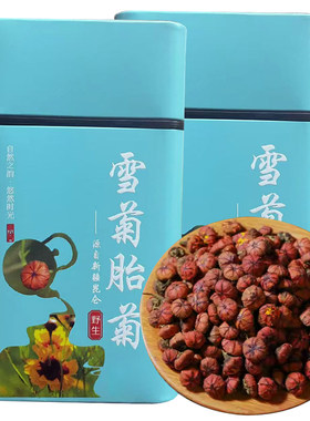 雪菊胎菊昆仑山脉野外生长高海拔克里阳天山冰山特级精选雪菊花茶