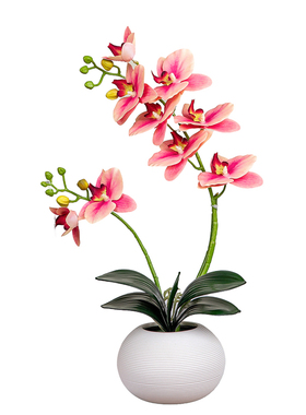 仿真手感胶蝴蝶兰现代家居装饰花