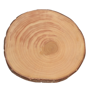 舌尖同款优杰银杏木砧板 白果树菜板 实木刀板 案板树墩特价清仓