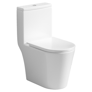 09[政府补贴15%]日丰马桶小户型虹吸式马桶家用坐便器防臭卫生间