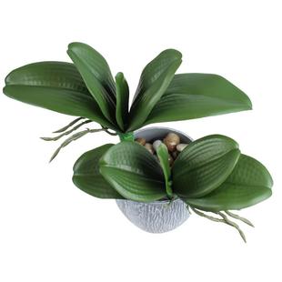 惠艺轩仿真蝴蝶兰叶子大支兰花叶片插花塑料配草绿植盆栽假叶装饰