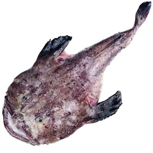 新鲜安康鱼整条大嘴鱼蛤蟆鱼鲜活冷冻鱼肝鱼肚海鲜