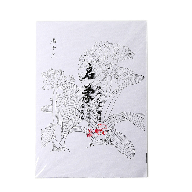8k水彩纸涂色线稿填色纸手绘临摹彩铅线稿填色线本新手初学者画册