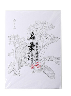 8K水彩线稿彩铅线稿填色绘画临摹