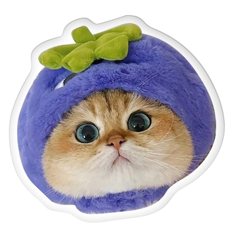 亚克力冰箱贴定制猫咪照片定做diy创意磁性贴宠物立体磁吸小挂件