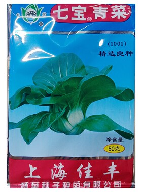 七宝青小青菜种子小白菜50克