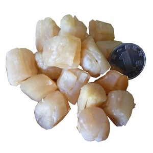 2022年厦门特产大干贝 渔家全淡晒野生扇贝250g瑶柱干货2件包邮