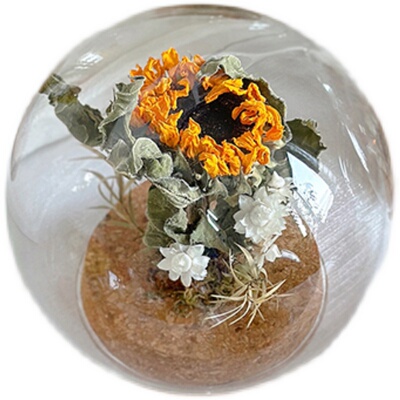 干花植物标本玻璃罩礼物摆件