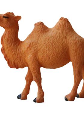 一件包邮沙漠骆驼沙漠之舟微景观动物模型摆件沙盘Camel Model