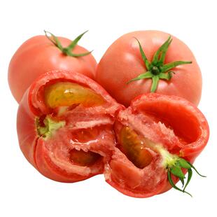 密农人家沙瓤西红柿 番茄新鲜蔬菜 密云番茄 普罗旺斯儿时味道