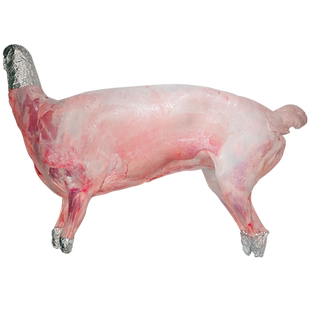 散养滩羊全羊整只16斤羊肉冷冻羊排羊腿羊蝎子烤全羊食材年货礼盒