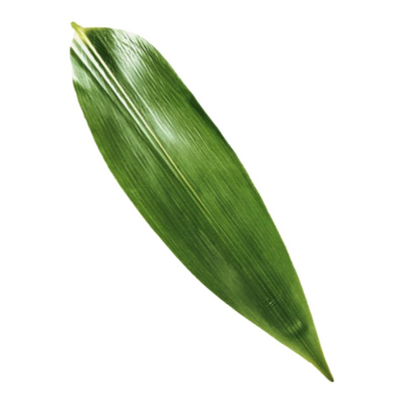 烤肉店竹叶冷菜盘饰叶子刺身摆盘