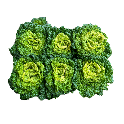 现挖现发的霜冻黄心乌塌菜