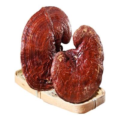 灵芝野生 正品正宗中药材长白山紫灵芝可切片打粉灵芝泡酒专用