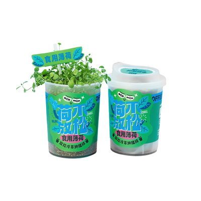 咖啡杯薄荷种植盆栽小礼物