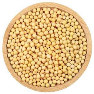 黄豆打豆浆豆芽专用农家自种老品种个大饱满非转基因高蛋白免泡发