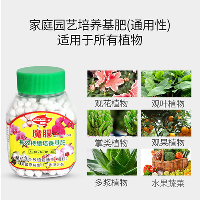 魔肥长效进口花肥高磷促花通用肥兰花专用缓释颗粒肥多肉月季肥料