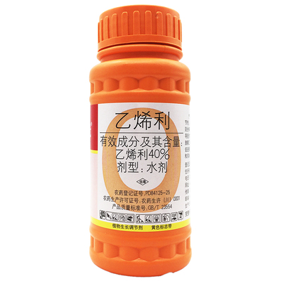 国光40%乙烯利水剂植物生长调节剂柿子棉花水稻番茄香蕉通用催熟