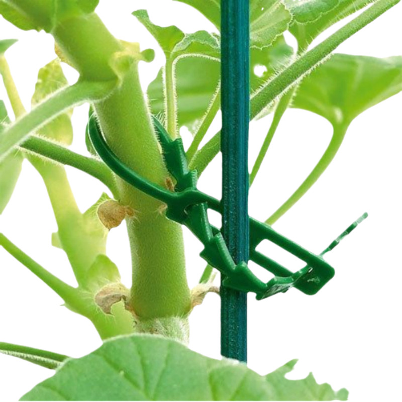 植物爬藤多功能加固鱼骨扎带菜园用绑扎带园林线扎带耐磨其他绳子