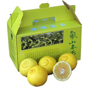 正宗产地特产 象山青橘子 春香柚柑橘 桔果园现新鲜黄金柚水果密
