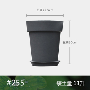 铁线莲 月季 番茄 草莓 无花果 树莓蓝莓 柑橘月季大盆厚实植树桶