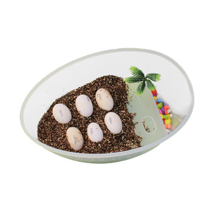 乌龟蛋可孵化成长舱专用缸观察盒男孩女孩科学小实验套装儿童玩具