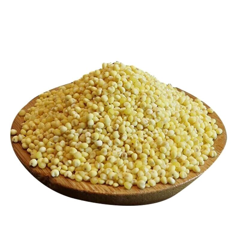 永意牌志祥大黄米粘糯黄小米粽子小米