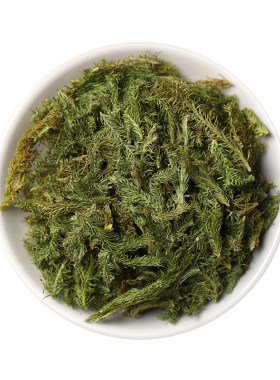 中药材野生伸筋草狮子草牛尾菜