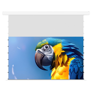 竹者投影仪幕布家用8K抗光悬浮拉线84寸100寸明装自动升降电动幕布隐藏式壁挂吸顶卧室客厅家庭影院投影幕布