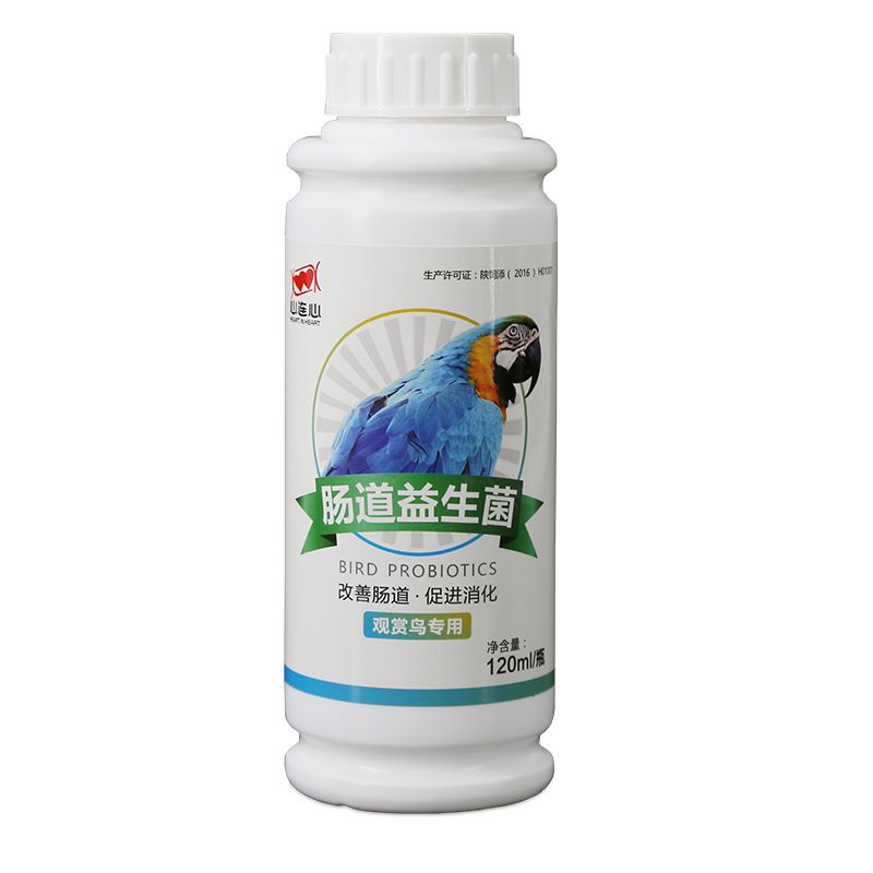 鹦鹉鸟用益生菌肠道调理促消化