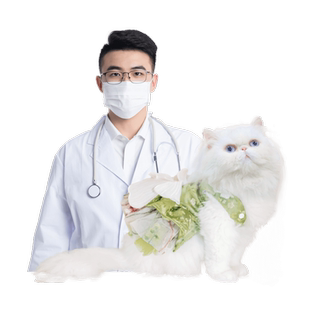 【云宠全国】到店服务宠物体检套餐猫犬通用宠物医院猫咪狗狗检查