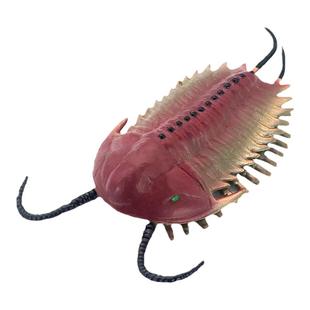 仿真史前远古海洋生物三叶虫模型奇虾鲎玩具塑胶儿童教育认识礼物