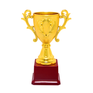 儿童才艺比赛创意奖杯定制定做优秀学生颁奖纪念奖杯制作磨砂杯身