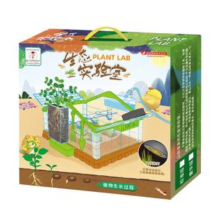 儿童植物阳光房科学小实验套装种植小盆栽生长观察盒手工diy玩具